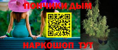 mdpv Краснознаменск
