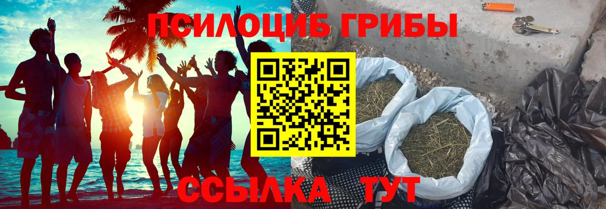 Галлюциногенные грибы ЛСД Киселёвск